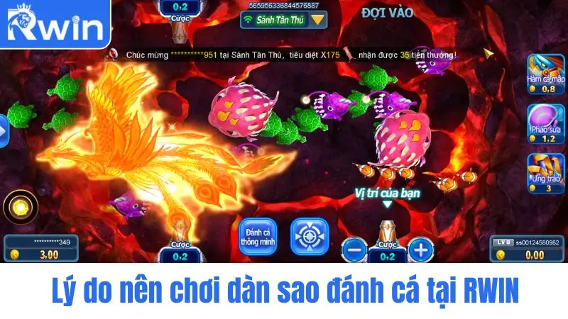 Reasons to play All Star Fishing at RWIN