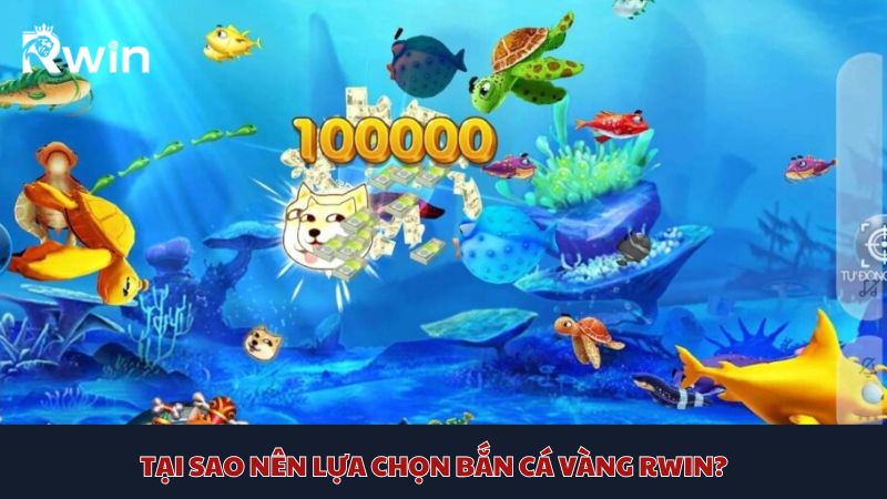 Connect friends across continents with Rwin Goldfish Shooting