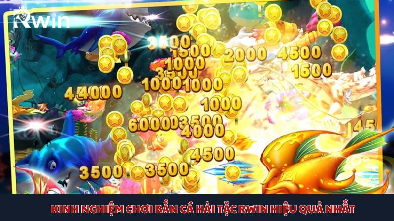 Rwin Pirate Fish Shooting Experience for Newbies
