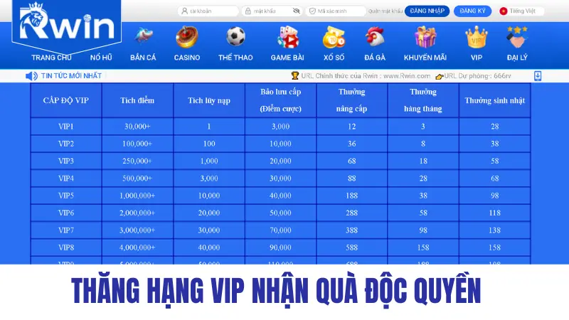 Upgrade to VIP and receive exclusive gifts